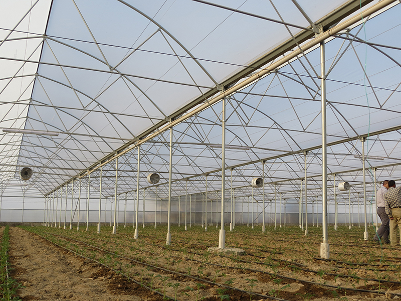 Greenhouse Constructions