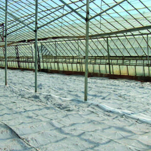 Solarization Film